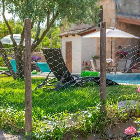 Fiolet Villa