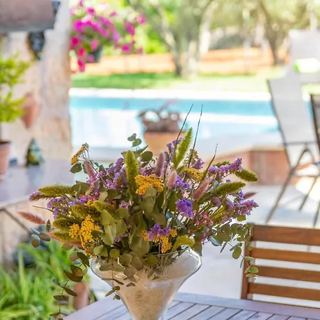 Fiolet Villa Algaida (Mallorca)