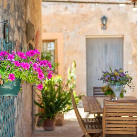 Fiolet Villa Algaida (Mallorca)